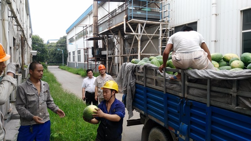 1475112496887287.jpg xigua.jpg